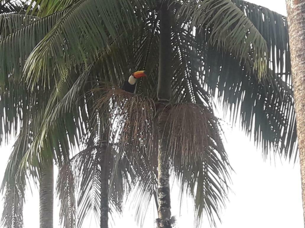 Pousada Nova Estancia Сокорру Экстерьер фото